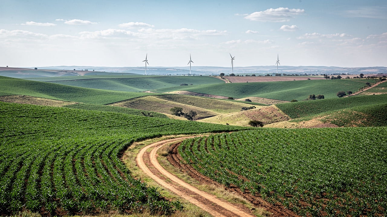 Cultivated rows curving over open South African farmland toward a distant horizon.